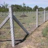 bigbeton
